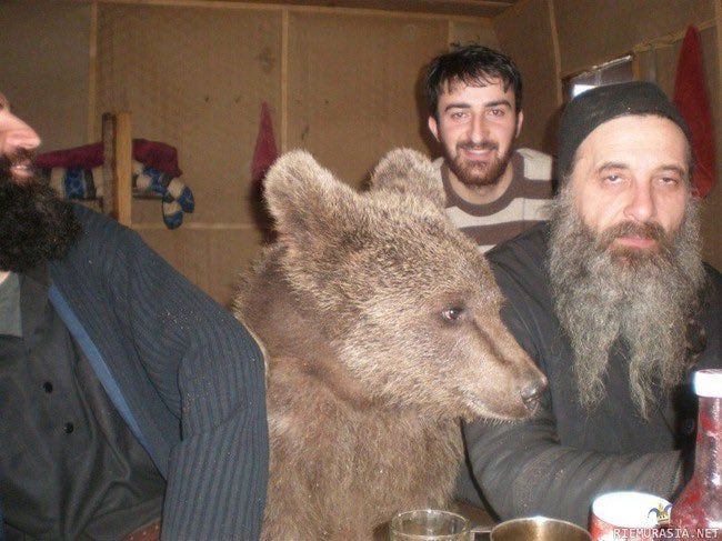 Böyle bir resim görene kadar Rusya'daki bazı insanların ayılarla ne kadar rahat olduğunu normal karşılamak daha kolaydır.