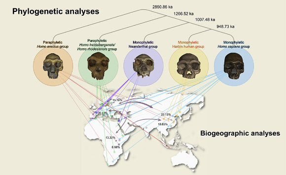 Neandertallerle paylaştığımız ortak atamızın çok daha eski zamanlarda da var olduğunu gösteriyor.