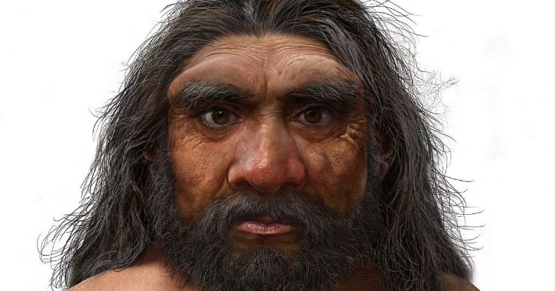 146.000 Yıllık Arkaik İnsan Kafatası Yeni Türü Temsil Ediyor: Homo Longi