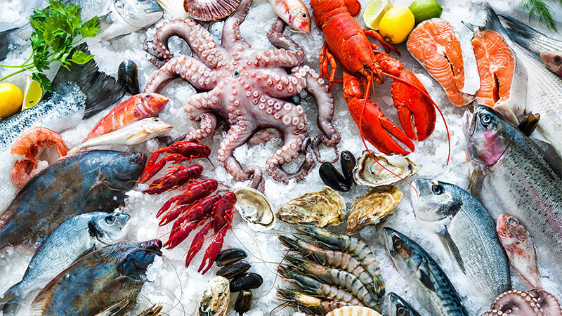 Balık dışında, en çok hangi deniz ürünlerini seviyorsun?