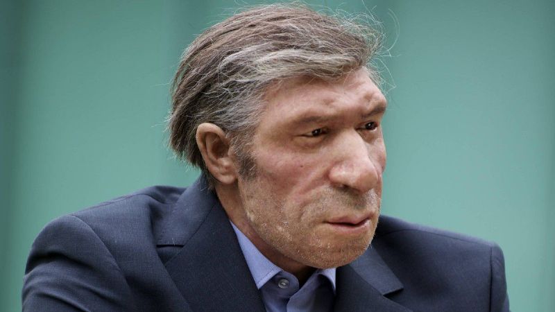 Araştırmacılar, 51.000 Yıllık Oyulmuş Kemiğin Neandertal Sanat Eseri Olduğunu Söylüyor