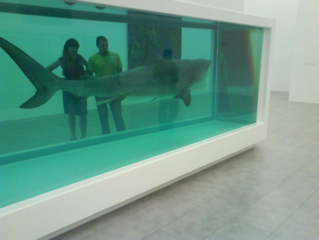 Dead Shark” Sanat Eseri – 12 milyon dolar