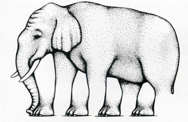 Bu filin kaç bacağı var?