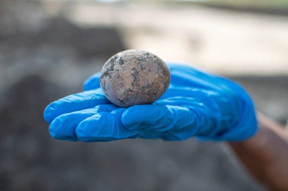 İsrailli Arkeologlar 1000 Yıllık Bozulmamış Tavuk Yumurtası Buldu!