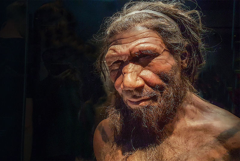 Neandertal nükleer DNA'sı mağara çökellerinden çıkarıldı.