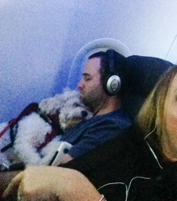 Uçakta uyuyabiliyorsan, her yerde uyuyabilirsin.