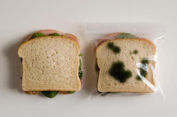 Anti-sandviç hırsızlığı cihazı.
